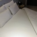 브라운도트쌍용점 이미지