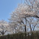 안양천 산책로 이미지