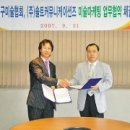 솔트 커뮤니케이션즈 이미지