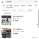 하멜애견미용학원