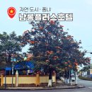 플러스호텔 | 동허이 숙소 추천 가성비 넘치는 남롱 플러스 호텔 이용 후기