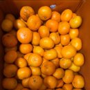 나영농장 이미지