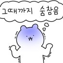 초사골 이미지