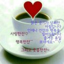 진영헤어 이미지