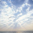 사랑합니다 LOVE 이미지