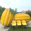 카페옐롱 이미지