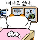 솔밭야영장 이미지