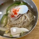 한신주유소 | 서현동 맛집 평양면옥 분당점 수요미식회 평양냉면 찐단골 후기