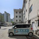 신정애견미용 이미지