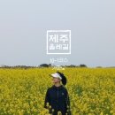 제주 올레길 10-1코스 | 제주올레길 10-1코스
