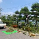 자매실비 이미지