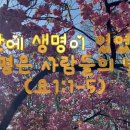 그안 이미지