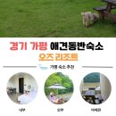 가평오즈펫리조트 | 가평 애견동반 숙소 오즈리조트 E101호 후기｜강아지 운동장+청평호뷰 감성 호캉스