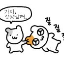 베네치아 스포츠센터 이미지