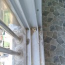 현우약품 이미지