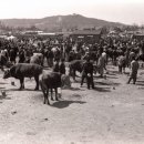 수원-1776 이미지