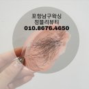미니스톱 포항연일점 | 청결과 위생적인 정블리뷰티에서 브라질리언왁싱 강추!!