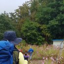 봉치경로당 이미지