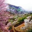 금산 이미지