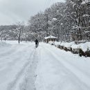 만길농장 이미지