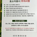 경혈테라피 이미지