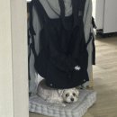 대희푸드 이미지