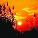 휴아일랜드 이미지