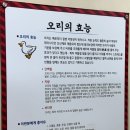 소문난 유황오리 | ＊[강동구오리고기] &#39;마당유황오리&#39; - 입에서 살살 녹는 오리고기로 몸보신하는 맛집!