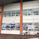 큰시장흑염소 이미지