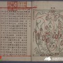 [10편] 2026년5월2일 토요일 DMZ평화의길 3코스를 다녀와! 이미지