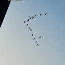 숲길따라카페