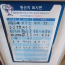 팔마식당 이미지