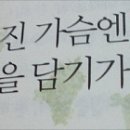 푸른장미 이미지