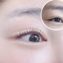 살롱드둥 이미지