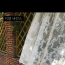 지젤쇼룸 이미지