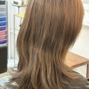 경기도 수원시 영통구 매탄로204 | 신데렐라 클리닉 진짜 효과있을까? 매탄동 트두헤어 미용실 방문후기