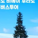 글로벌비에이