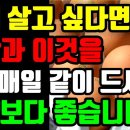 매일 계란과 함께 먹을 음식(호박,부추,브로콜리,도마도,양파) 이미지