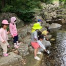 본아미강남어린이집 이미지