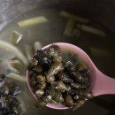 시골다슬기 | 다슬기국 만드는 법｜초보자가 따라 해본 레시피 후기