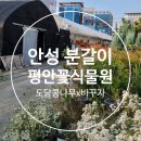 안성꽃식물원