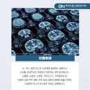 곤지암정형외과의원 이미지