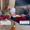 데려가개 이미지