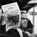 지코디안경 이미지