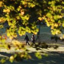 현대스크린골프방 이미지