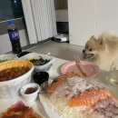 서영미장