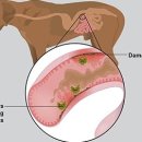 24시동탄윌동물의료센터 이미지