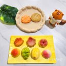 속초맛자랑 이미지