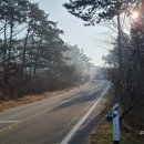 솔향기 힐링 하우스 이미지