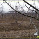 신현묵농장 이미지